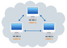 Single Network without Server